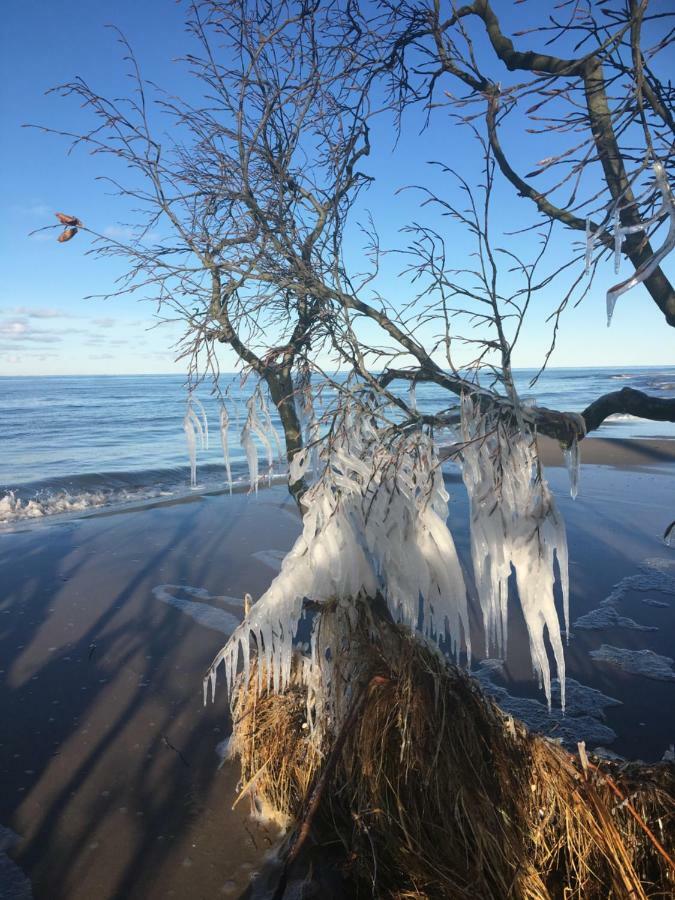 Fewo Bernsteinglueck Prerow Exteriér fotografie